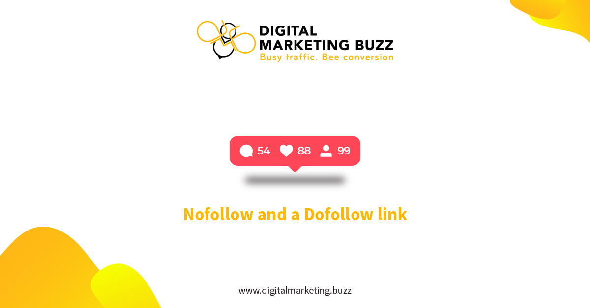 SEO Backlink